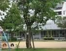 松川幼稚園