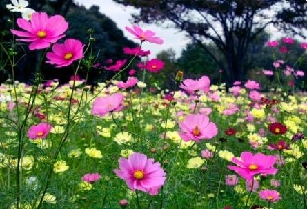 福泉公園