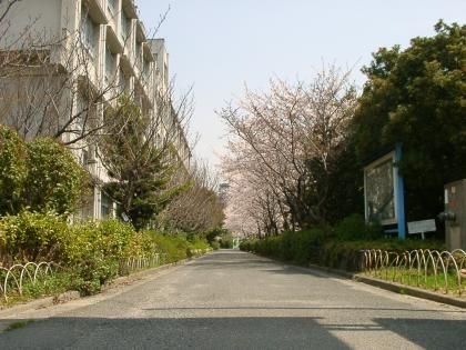 深井中学校