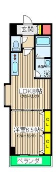 SOLARE横浜(ソラーレヨコハマ)の間取図