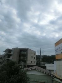 コスモ・ガーデン 眺望