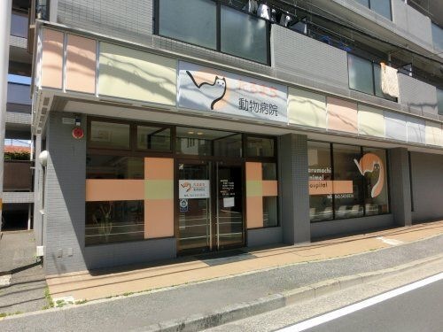 たるまち動物病院