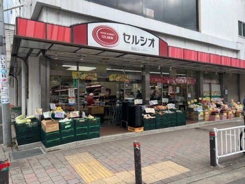 セルシオ