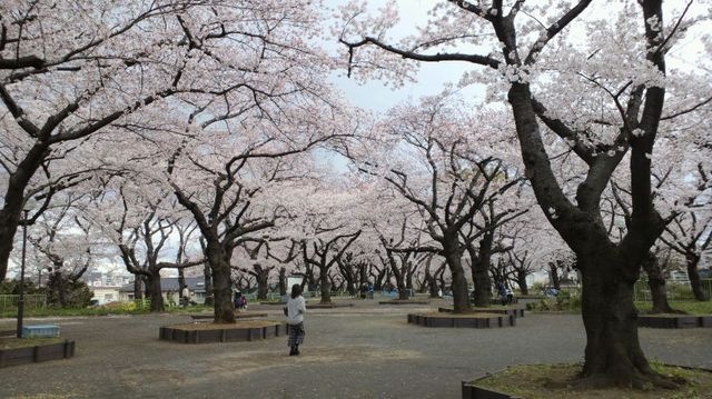幸ヶ谷公園