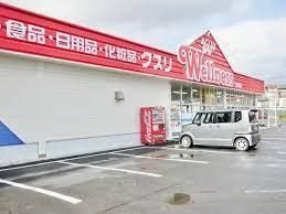 ドラッグストアウェルネス古志原店