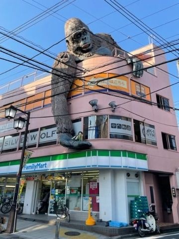 ゴリラビル シルバーウルフジム
