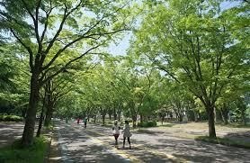 都立駒沢公園西口