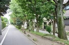 呑川柿の木坂支流緑道