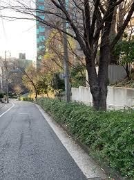 大坂緑地