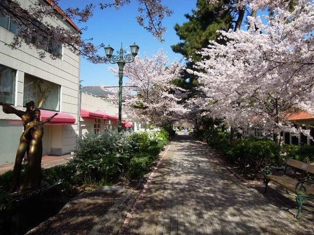 写真:花のみちセルカ