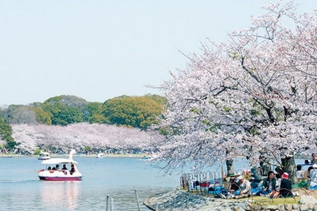 明石公園