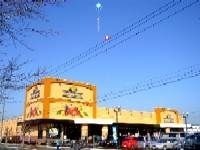 写真：ニシナフードバスケット東畝店
