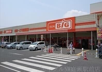 ザ・ビッグ岡山一宮店