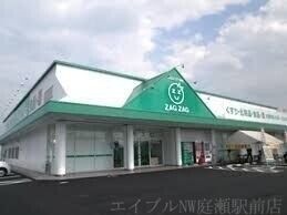 ザグザグ白石店