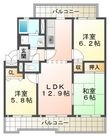 井吹東シティコート3号棟の間取図