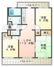 井吹東シティコートの間取図