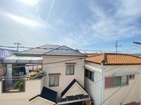 展望
