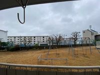 展望