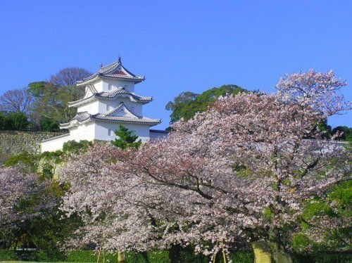 写真：兵庫県立 明石公園