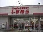 ファッションセンターしまむら下中野店