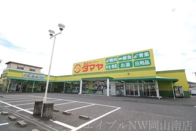 タマヤ 豊成店