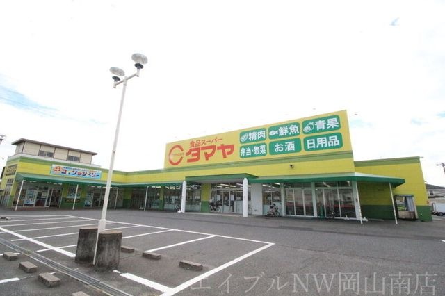 タマヤ 豊成店