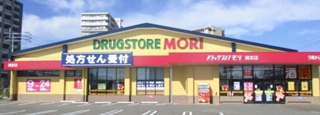 ドラッグストアモリ浦志店