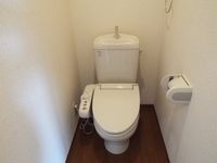 落ち着いたトイレです