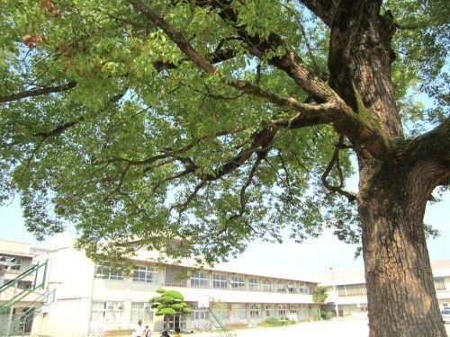 川口小学校