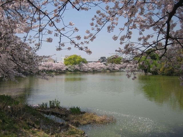 万代池公園