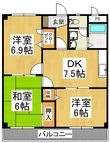 Shelley’s金剛の間取図