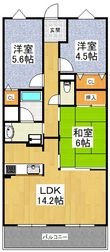 イトーピア金剛東グランドヒルズの間取図