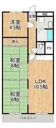 ディオハイツ金剛の間取図