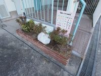 敷地内ゴミ捨場