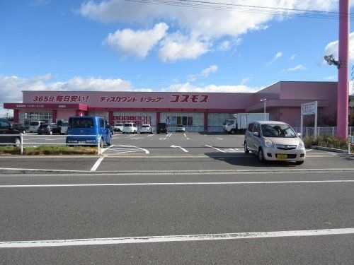 ディスカウントドラックコスモス金剛店