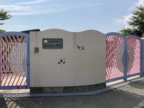 南花台小学校