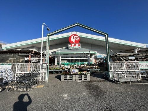 写真：コメリハード&グリーン河内河南店