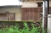 内観