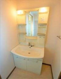 ★シャンプードレッサー付きです★
