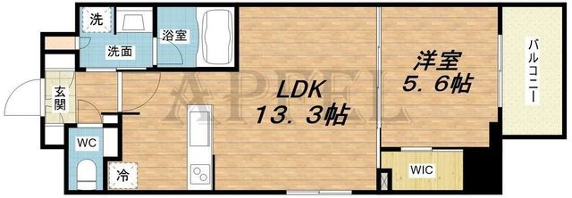 拡大写真:Dimus北浜 9階901の間取り