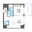 ブエナビスタ難波サウスタワーの間取図