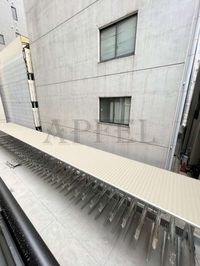 展望