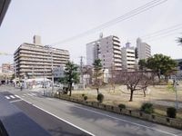 展望
