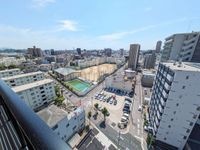 展望