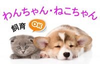 小型犬・猫2匹まで飼育OK!