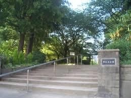 中大江公園