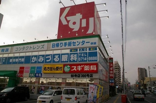 スギ薬局　林寺店