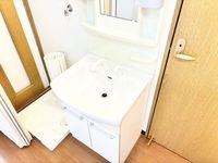 シャンプードレッサー