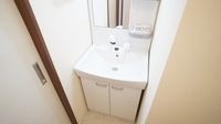 シャンプードレッサー