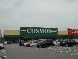 コスモス島崎店
